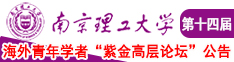 啊啊啊骚浪鸡巴在线观看南京理工大学第十四届海外青年学者紫金论坛诚邀海内外英才！
